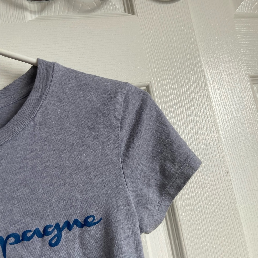 Grey Champagne Crop Top - Picture 4 of 5